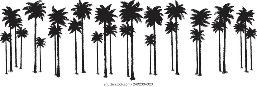 Black palm tree set vector illustration on white background silhouette art black white stock illustration