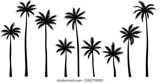 Black palm tree set vector illustration isolated on white background silhouette art black white stock illustration logo icon png. tropical, beach, landscape, pattern, paradise, coconut background