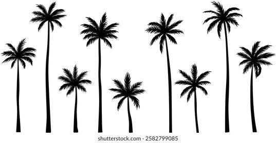 Black palm tree set vector illustration isolated on white background silhouette art black white stock illustration logo icon png. tropical, beach, landscape, pattern, paradise, coconut background