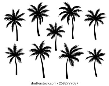 Black palm tree set vector illustration isolated on white background silhouette art black white stock illustration logo icon png. tropical, beach, landscape, pattern, paradise, coconut background