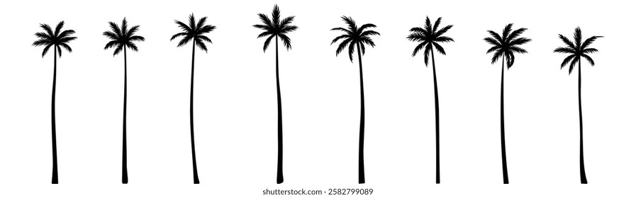 Black palm tree set vector illustration isolated on white background silhouette art black white stock illustration logo icon png. tropical, beach, landscape, pattern, paradise, coconut background