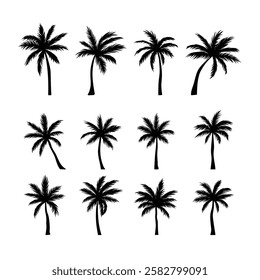 Black palm tree set vector illustration isolated on white background silhouette art black white stock illustration logo icon png. tropical, beach, landscape, pattern, paradise, coconut background