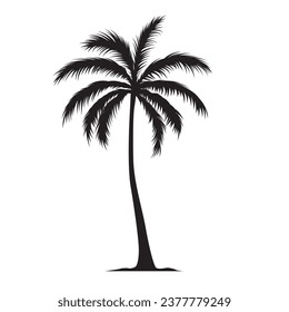 Black palm tree shape, silhouette of an exotic plant. Vector illustration isolated on white background