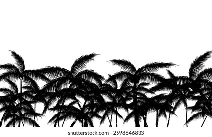 Black palm tree silhouette on white background. summer palm tree.