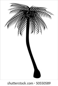Black palm tree silhouette on white background