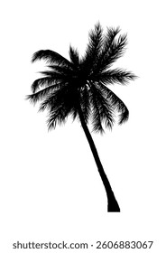 Black palm tree silhouette - vector illustration