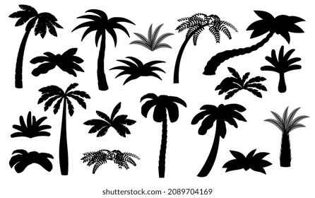 Silhouettes de palmera negra. Palmeras aisladas, cocoteros. Matorral de playa, elementos tropicales exóticos del bosque. Conjunto reciente de vectores del paisaje de los océanos de verano