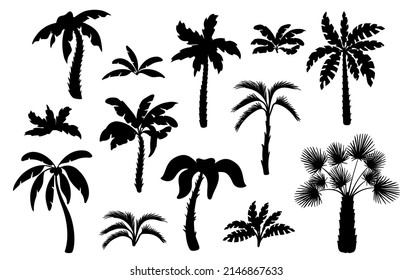 Black palm tree silhouettes. Miami hawaii tropical palms, isolated exotic forest icons. Leaves and foliage, summer beach neat plants vector set