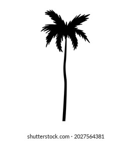 black palm tree vector illustration