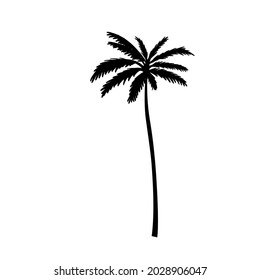 black palm tree vector illustration