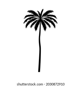 black palm tree vector illustration