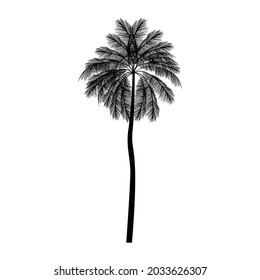 Schwarze Palme, Vektorgrafik