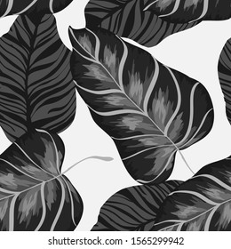 Black Palm Tree Vector Seamless Pattern. Graphite Tropic Monstera Pattern Hawaiian Design. Mud Tree Fashion Texture. Black Palm Tree Illustration