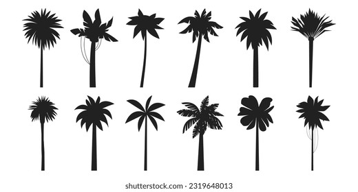 Black palm trees. Exotic summer sea coast plant, coconut and banana tree black icon collection. Vector tropical vacation elements of beach silhouette palm illustration