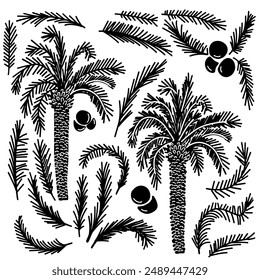 Black palm trees. Exotic summer sea coast plant, coconut and banana tree black icon collection. Vector tropical vacation elements of beach silhouette palm illustration