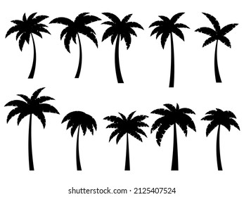 Black palm trees on a white background. Set of tropical palm trees silhouettes for poster, banner and promotional products. Summer time. Vector illustration