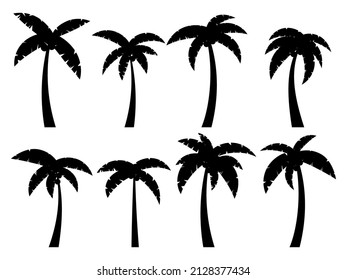 Black palm trees on a white background. Set of tropical palm trees silhouettes for poster, banner and promotional products. Summer time. Vector illustration
