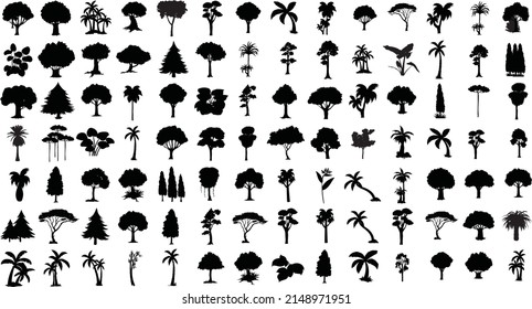 Black palm trees ,Realistic Trees Collection Isolated on White Background. Design of palm trees for posters, banners and promotional items. Vector illustration