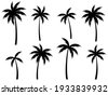 tropical palms