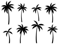 Schwarze Palmen Einzeln Auf Weißem Hintergrund. Palmsilhouetten. Entwurf Von Palmen Für Poster, Banner Und Werbeartikel. Vektorgrafik