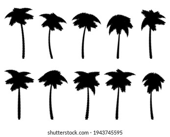 Black palm trees set isolated on white background. Palm silhouettes. Design of palm trees for posters, banners and promotional items. Vector illustration