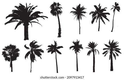 Black Palm Trees Set Isolated On Stock Vector (Royalty Free) 2097913417 ...