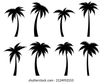 Black palm trees set isolated on white background. Palm silhouettes. Design of palm trees for posters, banners and promotional items. Vector illustration