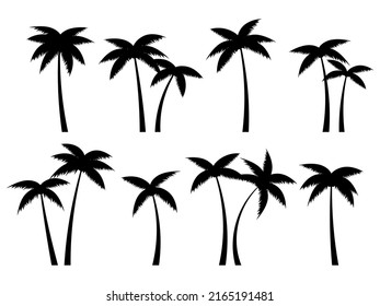 Black palm trees set isolated on white background. Palm silhouettes. Design of palm trees for posters, banners and promotional items. Vector illustration
