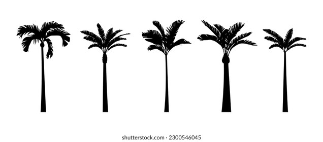 Black palm trees set isolated on white background. Palm silhouettes. Design of palm trees for posters, banners and promotional items. Vector illustration 10 eps.