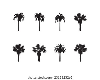 Palmeras negras aisladas en un fondo blanco. Siluetas de palmeras. Diseño de palmeras para afiches, carteles y artículos promocionales. Ilustración vectorial.