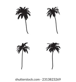 Black palm trees set isolated on white background. Palm silhouettes. Design of palm trees for posters, banners and promotional items. Vector illustration.