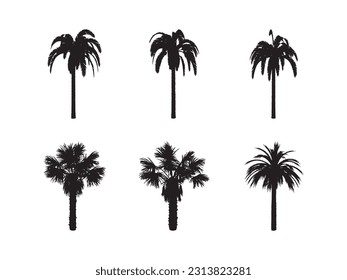 Black palm trees set isolated on white background. Palm silhouettes. Design of palm trees for posters, banners and promotional items. Vector illustration.