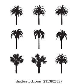 Black palm trees set isolated on white background. Palm silhouettes. Design of palm trees for posters, banners and promotional items. Vector illustration.