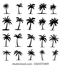 Black palm trees are set isolated on a white background. Palm silhouettes. Design of palm trees for posters, banners, and promotional items. Vector illustration