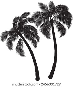 Schwarze Palmen stehen isoliert auf weißem Hintergrund. Palmsilhouetten. Design von Palmen für Poster, Banner und Werbeartikel. Vektorillustration