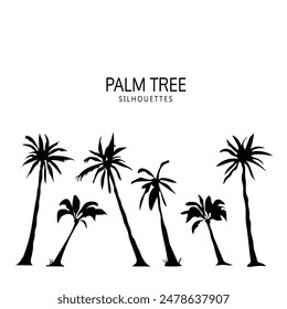 Schwarze Palmen stehen isoliert auf weißem Hintergrund. Palmsilhouetten. Design von Palmen für Poster, Banner und Werbeartikel. Vektorillustration
