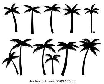 Black palm trees set isolated on white background. Palm silhouettes