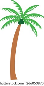 Black palm trees set isolated on white background. Palm silhouettes.black vector single palm tree icon silhouette.