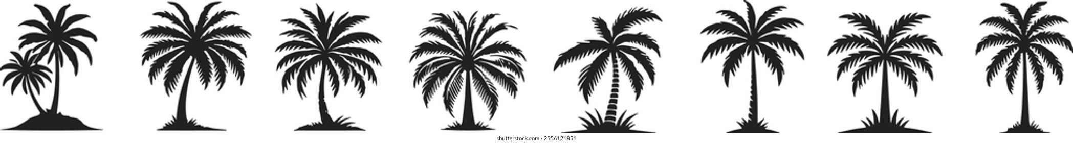 Black palm trees set. Palm silhouette. Design of palm trees for posters, banners and promotional items. Vector illustration