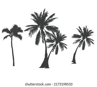 Black palm trees vector set. Summer palm trees for fashion, poster, batch, sticker and others uses.