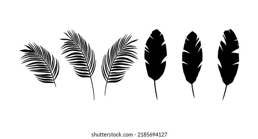 Black palms leaves and banana leaves on a white background.