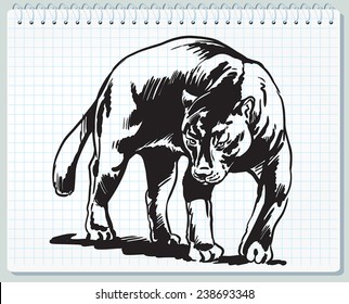 Cool Sketch Black Panther Drawing Animal | Inter Venus