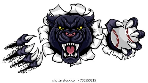 A black panther angry animal sports mascot holding a baseball ball and breaking through the background with its claws