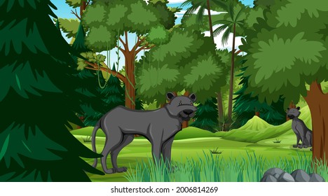 Black panther in forest scene with many trees illustration