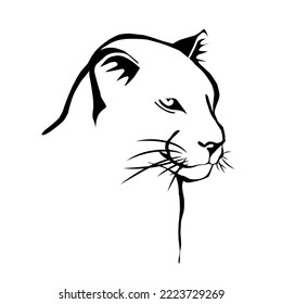 Black Panther Head with white background vector