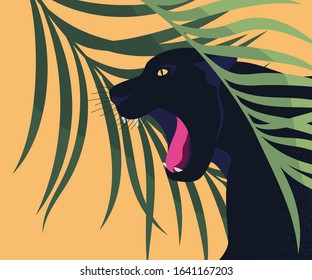 The black Panther hides in the palm leaves. The enraged leopard snarls, Baring its fangs. Natural Vector illustration