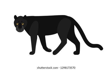 Black panther isolated on white background. Stunning wild exotic carnivorous animal. Graceful large wild cat or felid. Melanistic leopard or jaguar. Colored vector illustration in flat cartoon style.