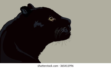 Black panther isolated vector graphic
