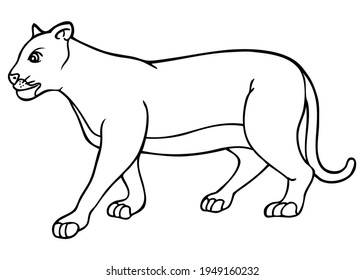 schwarze Panther-Linie, Vektorgrafik,
einzeln auf weißem Hintergrund.Draufsicht
