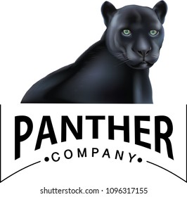black panther logo